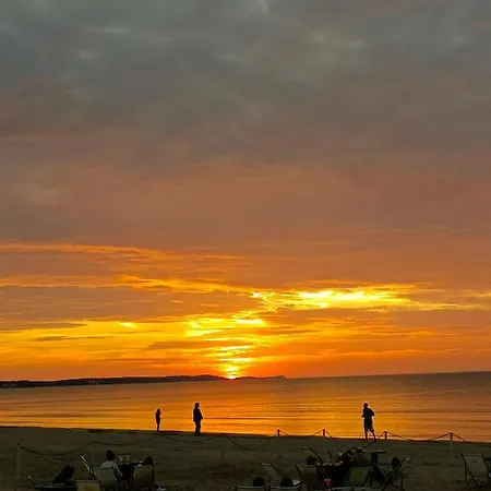 Park * シフィノウイシチェ